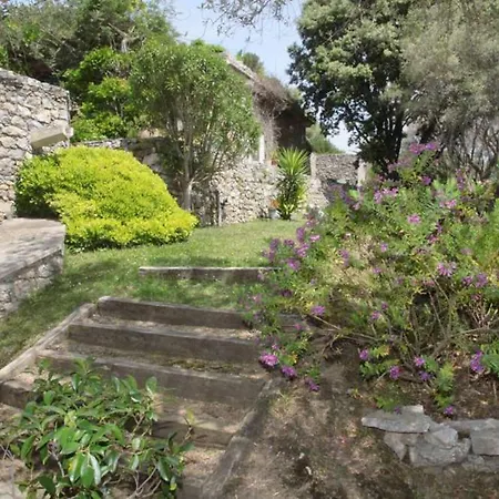 Domaine Panciarella *